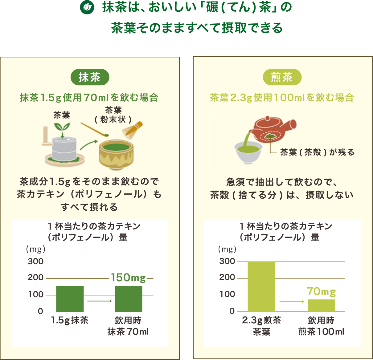 図1.煎茶と抹茶の違い