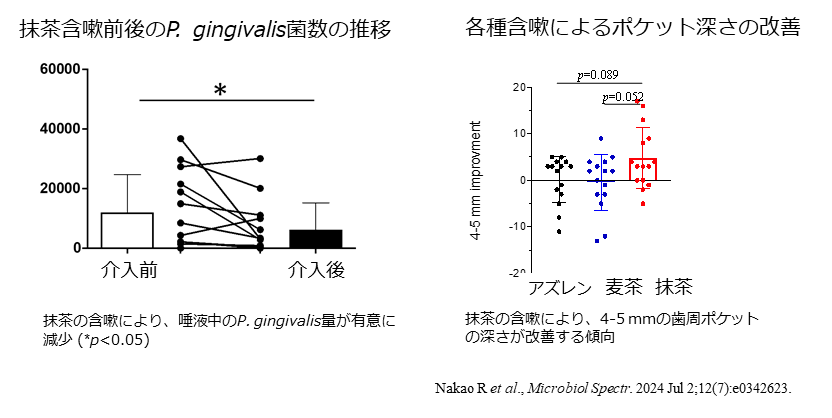 図. 抹茶含嗽の効果:新たな歯周病制御法の開発へ
