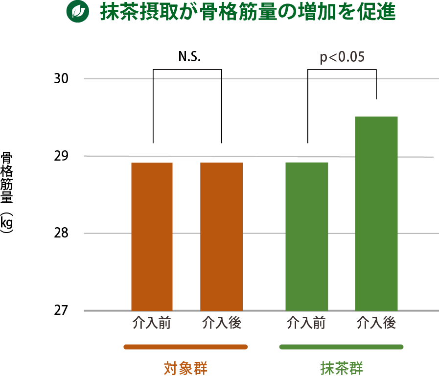 図8．大学生の抹茶摂取による骨格筋量の増加